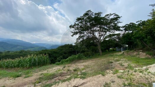 Terreno en Venta en Obrajuelo, Villa Canales – 26,418.61 m con Cultivos Fértiles y Gran Potencial