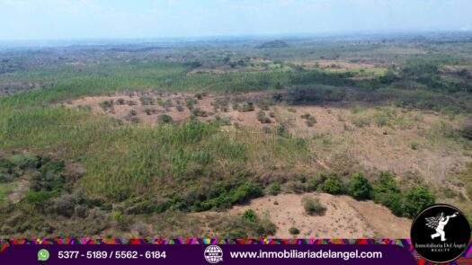Venta de Terreno Industrial en Autopista Puerto Quetzal de 114 manzanas con 250 Metros de Frente