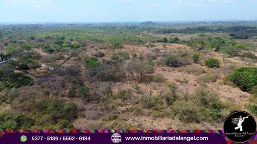 Venta de Terreno Industrial en Autopista Puerto Quetzal de 114 manzanas con 250 Metros de Frente