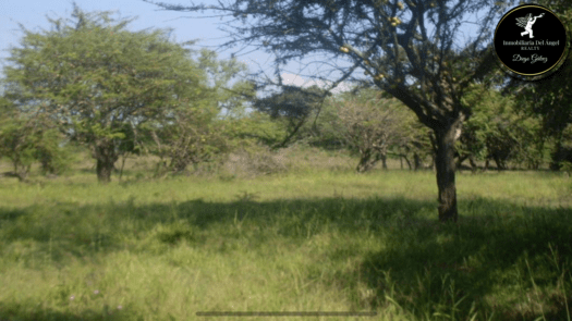 Venta de Terreno CA-9 Autopista a Puerto Quetzal de 134 Manzanas con 515 mt de Frente