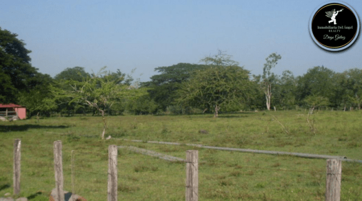 Venta de Terreno CA-9 Autopista a Puerto Quetzal de 134 Manzanas con 515 mt de Frente