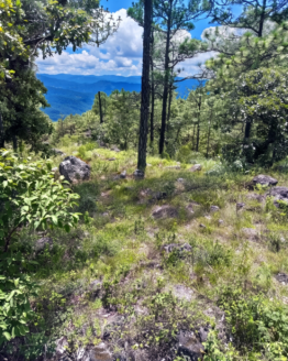 Terreno de 320,320 varas en Venta en Piedras Negras, Huehuetenango