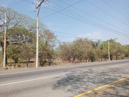 Venta de Terreno Plano en Autopista Puerto Quetzal de 20 Manzanas Industriales