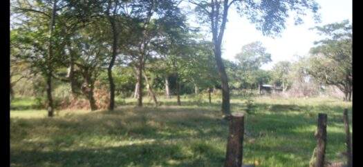 Venta de Terreno Plano en Autopista Puerto Quetzal de 20 Manzanas Industriales