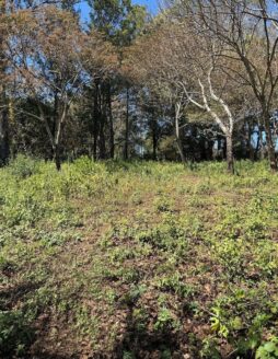 Terreno Comercial en Venta en Carretera a El Salvador con 10,250 varas