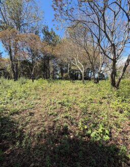 Terreno Comercial en Venta en Carretera a El Salvador con 10,250 varas