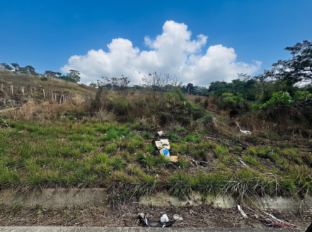 Terreno de 20 Manzanas en Venta en Barberena sobre Carretera Principal