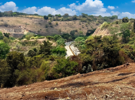 Terreno de 20 Manzanas en Venta en Barberena sobre Carretera Principal