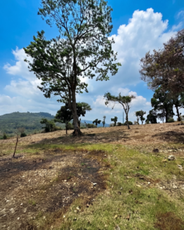 Terreno de 20 Manzanas en Venta en Barberena sobre Carretera Principal