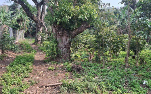 Terreno en venta 3 manzanas y un cuarto en Laguna Seca, Amatitlán