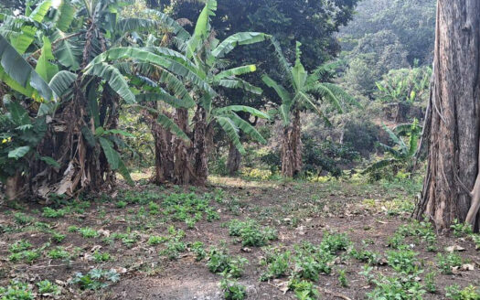 Terreno en venta 3 manzanas y un cuarto en Laguna Seca, Amatitlán