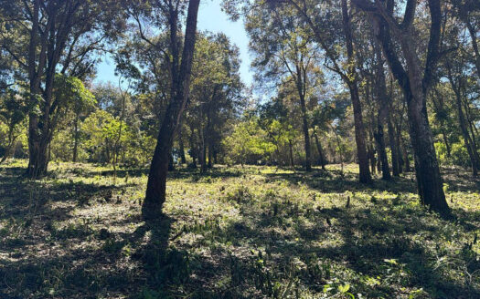 Terreno de 19 manzanas en venta entre San Juan Sacatepéquez y San Raymundo