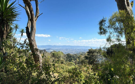 Terreno de 19 manzanas en venta entre San Juan Sacatepéquez y San Raymundo